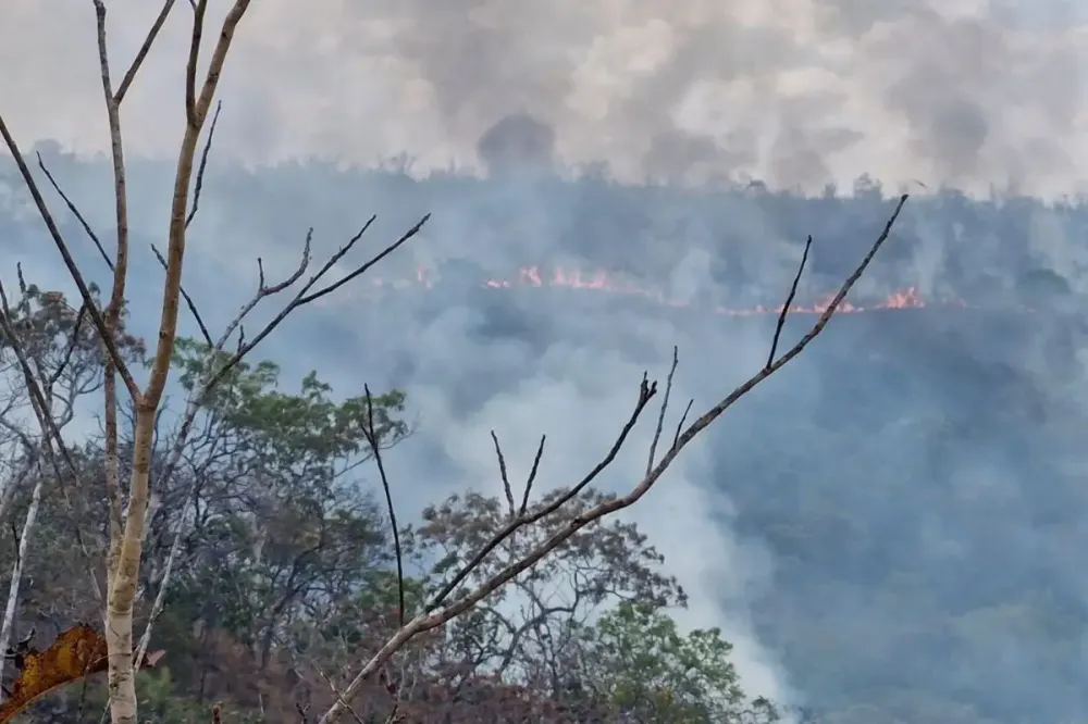 Incêndios na Serra do Roncador desafiam forças de combate e recursos disponíveis (Foto: Victor Pedroso)