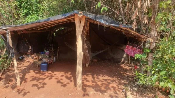 Alojamento precária e improvisado com lonas e madeira. Foto: MPT/Divulgação