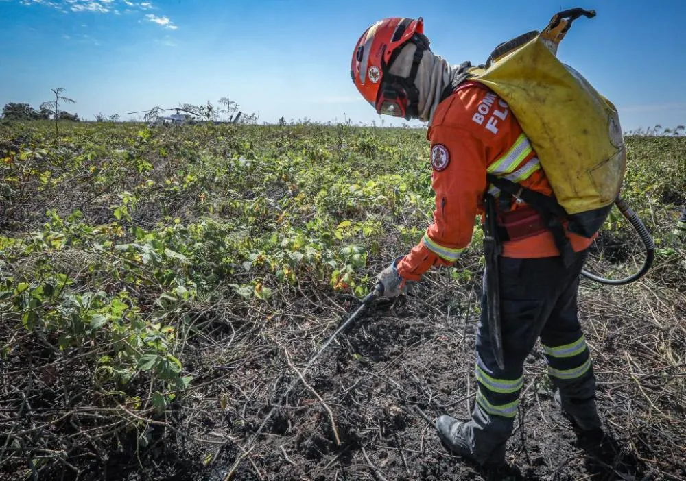 Corpo de Bombeiros combate 27 incêndios florestais nesta terça-feira (26)