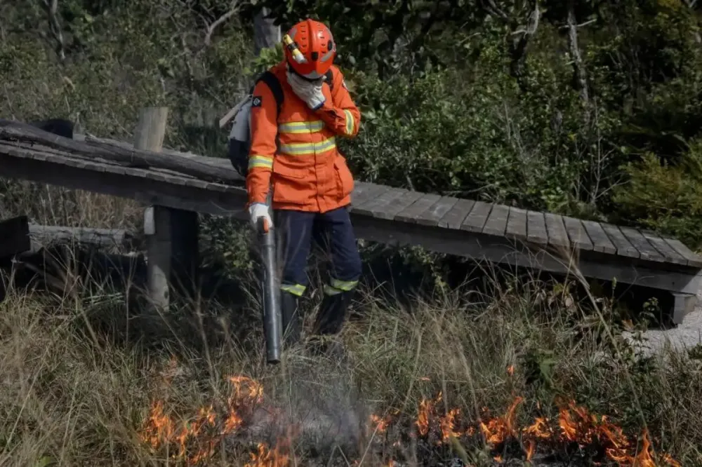 Mato Grosso registra 31 incêndios florestais em um único dia