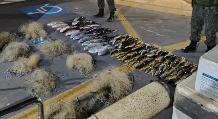 Preso homem com 157 peixes e redes ilegais no Nortão; multa de R$ 40 mil