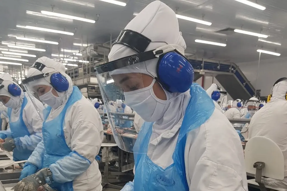 JBS fecha acordo de R$ 5 milhões após 230 processos por falhas em saúde e segurança do trabalho em MT