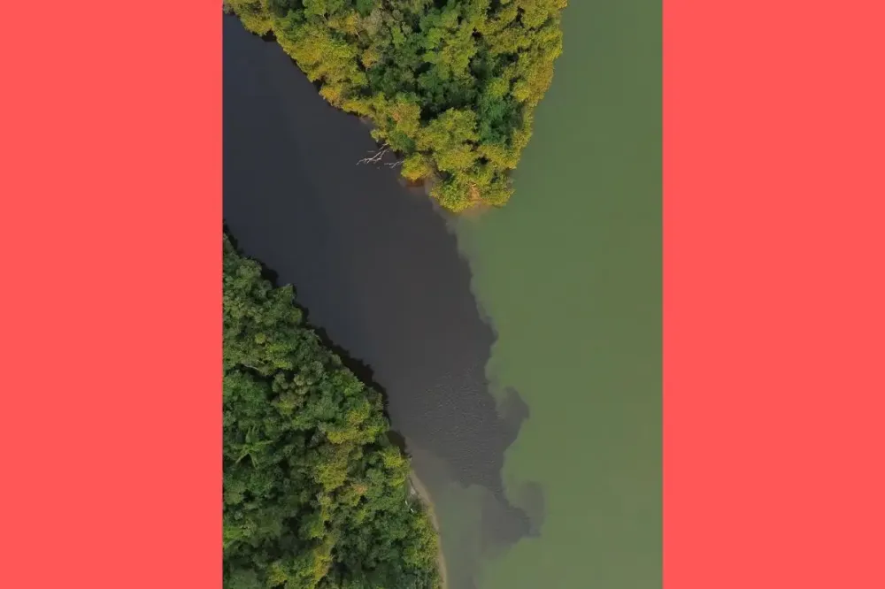 Fotógrafo registra encontro das águas dos rios Cristalino e Teles Pires em Alta Floresta